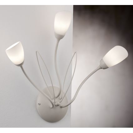 Jupiter 2064 - Nástenné svietidlo GLORIOSA 3xG9/14W/230V krémové