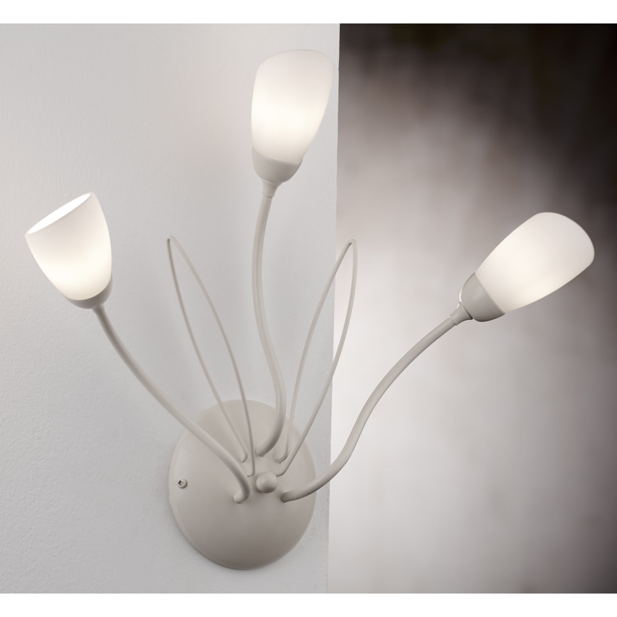 Jupiter 2064 - Nástenné svietidlo GLORIOSA 3xG9/14W/230V krémové