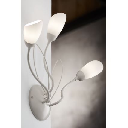 Jupiter 2064 - Nástenné svietidlo GLORIOSA 3xG9/14W/230V krémové