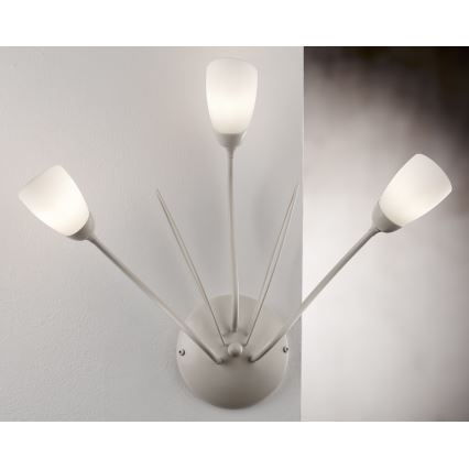 Jupiter 2064 - Nástenné svietidlo GLORIOSA 3xG9/14W/230V krémové