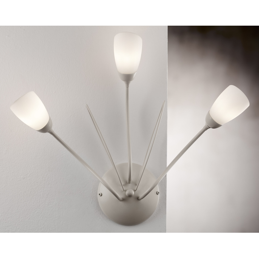 Jupiter 2064 - Nástenné svietidlo GLORIOSA 3xG9/14W/230V krémové