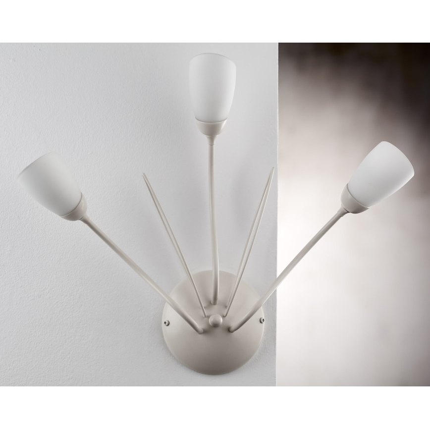 Jupiter 2064 - Nástenné svietidlo GLORIOSA 3xG9/14W/230V krémové