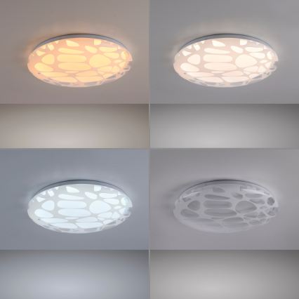 JUST LIGHT. 14009-16 - LED stmievateľné stropné svietidlo ART PLAFO LED/20W/230V 2700-6500K pr. 38 cm biela + diaľkové ovládanie