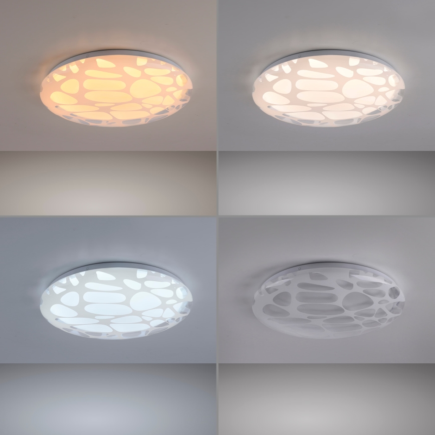 JUST LIGHT. 14009-16 - LED stmievateľné stropné svietidlo ART PLAFO LED/20W/230V 2700-6500K pr. 38 cm biela + diaľkové ovládanie