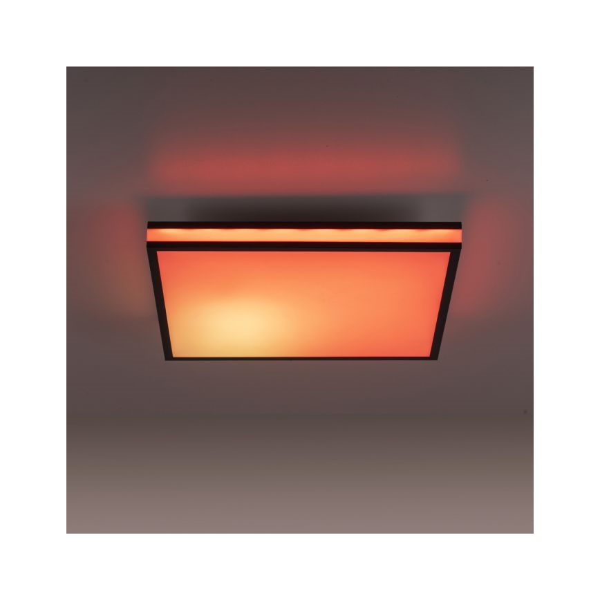 JUST LIGHT. 14110-18 - LED RGBW Stmievateľné stropné svietidlo MARIO BLACK LED/19,5W/230V 2700-5000K + diaľkové ovládanie