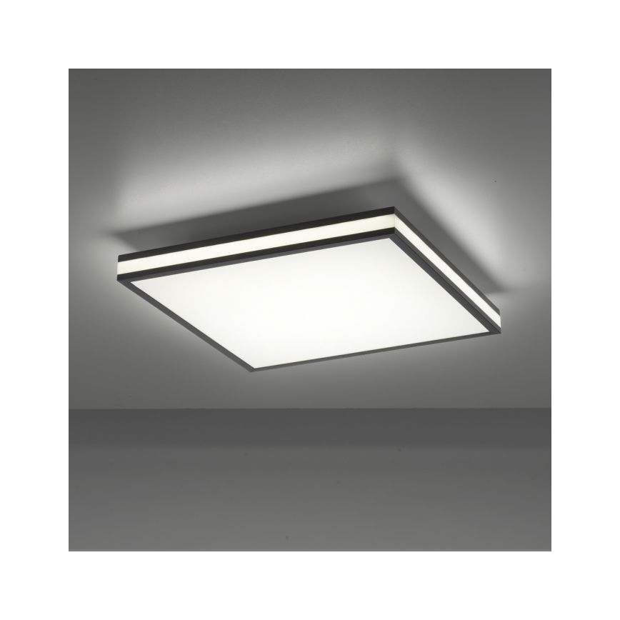 JUST LIGHT. 14110-18 - LED RGBW Stmievateľné stropné svietidlo MARIO BLACK LED/19,5W/230V 2700-5000K + diaľkové ovládanie