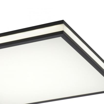 JUST LIGHT. 14110-18 - LED RGBW Stmievateľné stropné svietidlo MARIO BLACK LED/19,5W/230V 2700-5000K + diaľkové ovládanie