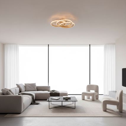 JUST LIGHT. 14734-60 - LED Stropné svietidlo GLITRA LED/37W/230V pr. 50 cm zlaté