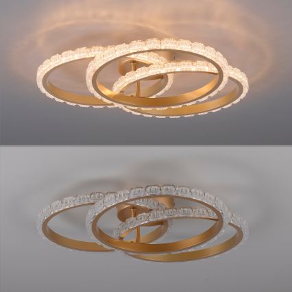 JUST LIGHT. 14734-60 - LED Stropné svietidlo GLITRA LED/37W/230V pr. 50 cm zlaté