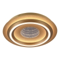 JUST LIGHT. 15089-60 - LED Stropné svietidlo CICHIO LED/36W/230V pr. 40 cm zlaté