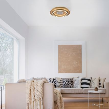 JUST LIGHT. 15089-60 - LED Stropné svietidlo CICHIO LED/36W/230V pr. 40 cm zlaté