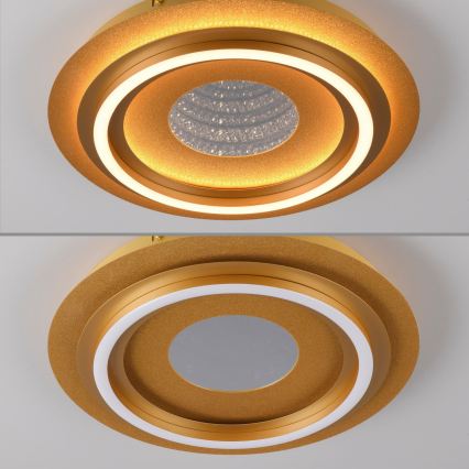 JUST LIGHT. 15089-60 - LED Stropné svietidlo CICHIO LED/36W/230V pr. 40 cm zlaté