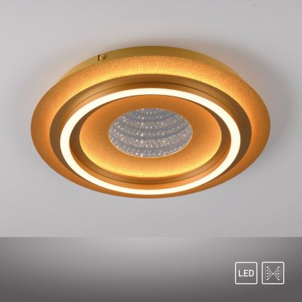 JUST LIGHT. 15089-60 - LED Stropné svietidlo CICHIO LED/36W/230V pr. 40 cm zlaté