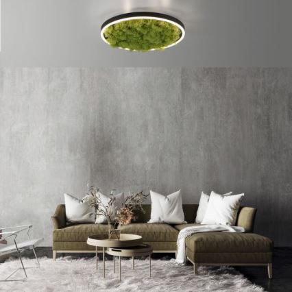 JUST LIGHT. 15391-66 - LED Stmievateľné stropné svietidlo ZELENÁ RITU LED/20W/230V