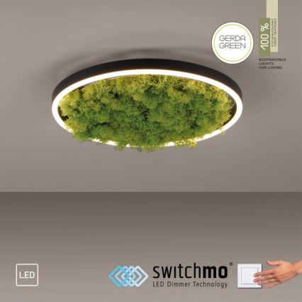 JUST LIGHT. 15391-66 - LED Stmievateľné stropné svietidlo ZELENÁ RITU LED/20W/230V