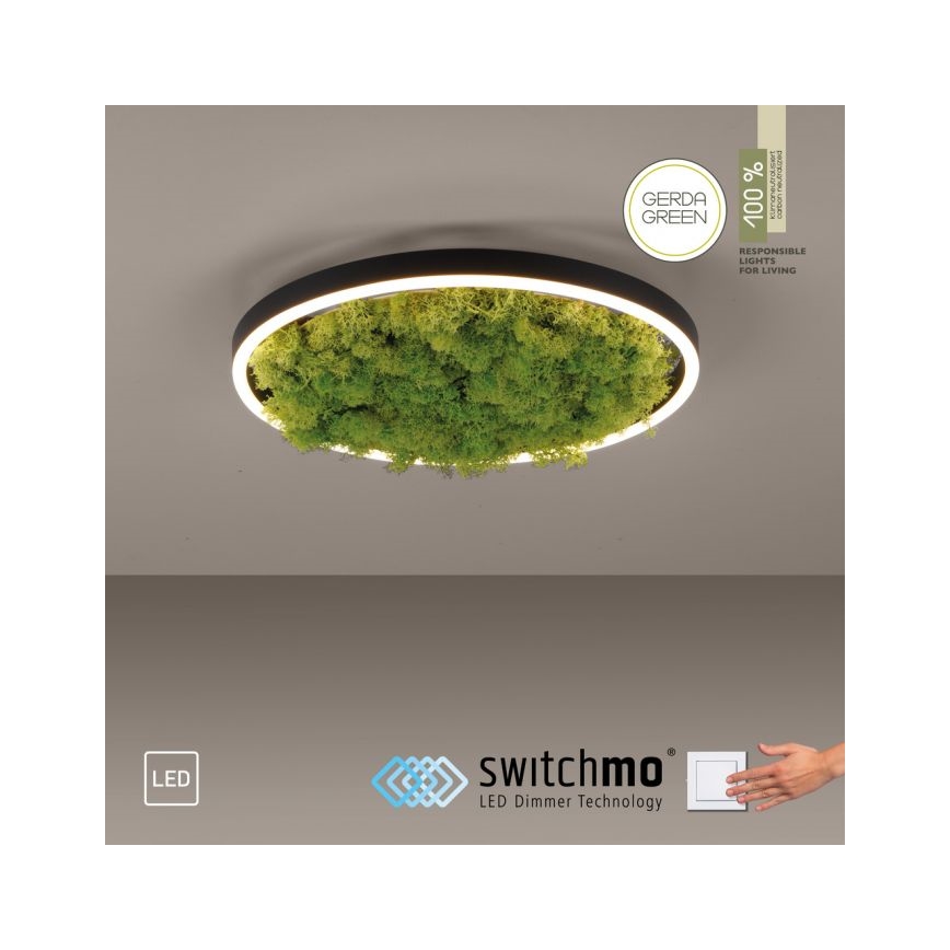 JUST LIGHT. 15391-66 - LED Stmievateľné stropné svietidlo ZELENÁ RITU LED/20W/230V