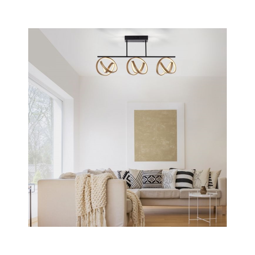JUST LIGHT. 6245-18 - LED Stmievateľný prisadený luster LOOP 3xLED/11W/230V 2700-5000K + diaľkové ovládanie