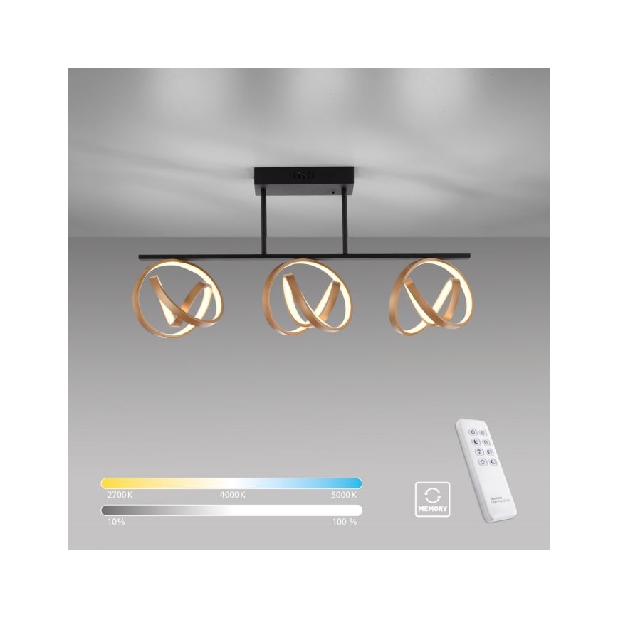 JUST LIGHT. 6245-18 - LED Stmievateľný prisadený luster LOOP 3xLED/11W/230V 2700-5000K + diaľkové ovládanie
