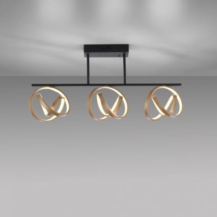 JUST LIGHT. 6245-18 - LED Stmievateľný prisadený luster LOOP 3xLED/11W/230V 2700-5000K + diaľkové ovládanie