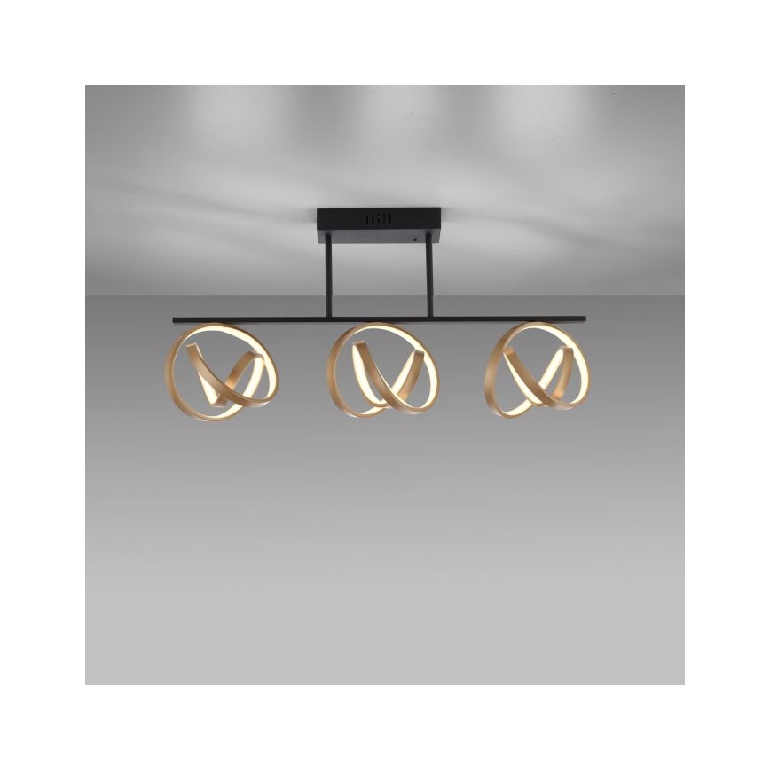 JUST LIGHT. 6245-18 - LED Stmievateľný prisadený luster LOOP 3xLED/11W/230V 2700-5000K + diaľkové ovládanie