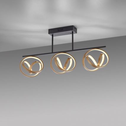 JUST LIGHT. 6245-18 - LED Stmievateľný prisadený luster LOOP 3xLED/11W/230V 2700-5000K + diaľkové ovládanie