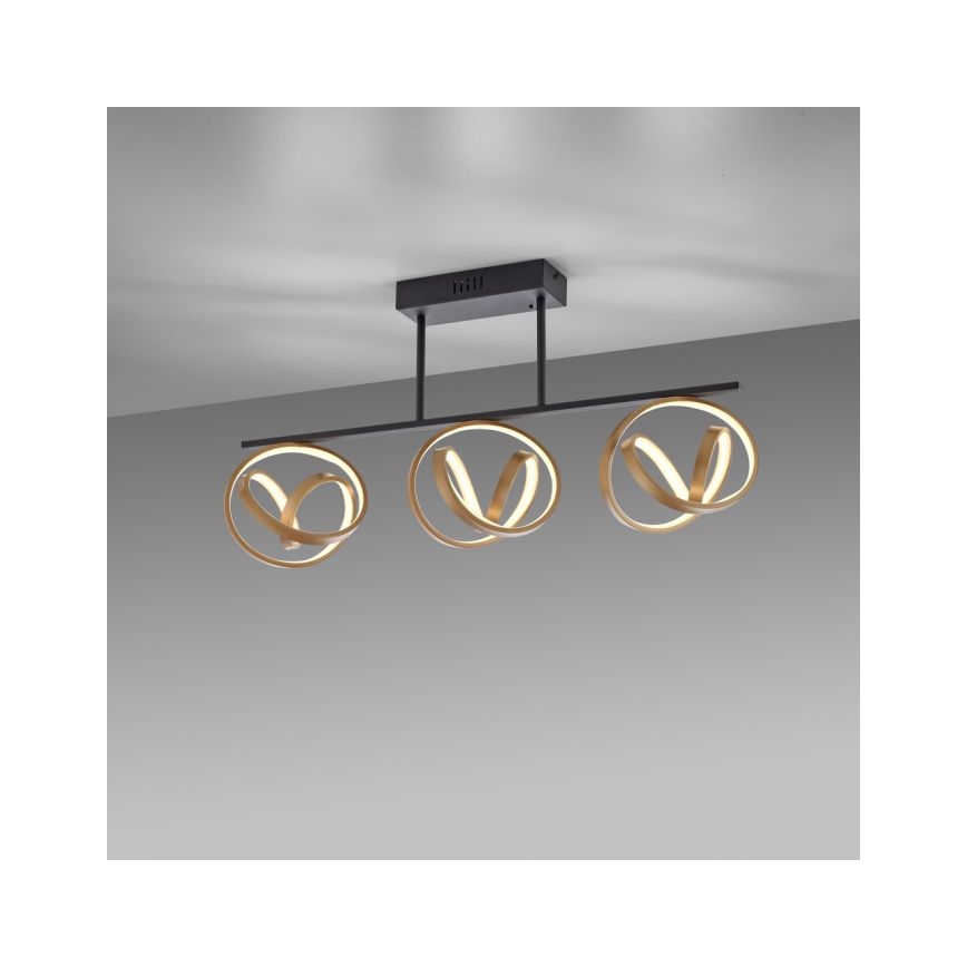 JUST LIGHT. 6245-18 - LED Stmievateľný prisadený luster LOOP 3xLED/11W/230V 2700-5000K + diaľkové ovládanie