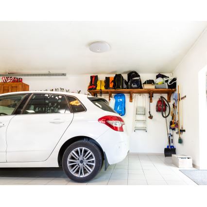 LED stropné svietidlo s pohybovým a súmrakovým senzorom FOGLER LED/17W/230V pr. 33 cm