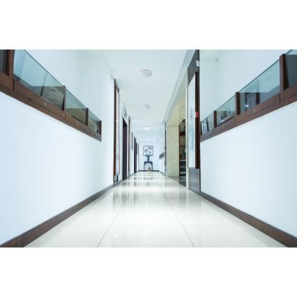 LED stropné svietidlo s pohybovým a súmrakovým senzorom FOGLER LED/17W/230V pr. 33 cm