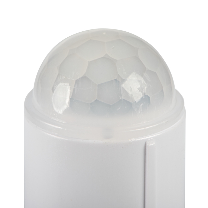 LED stropné svietidlo s pohybovým a súmrakovým senzorom FOGLER LED/24W/230V pr. 38 cm