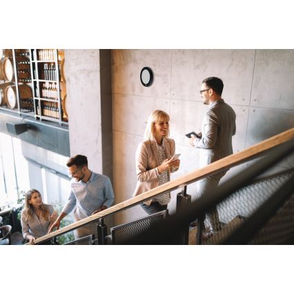 LED Stropné/podhľadové svietidlo 2v1 ERGA LED/17W/230V 3000/4000/6500K čierna