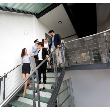 LED Stropné/podhľadové svietidlo 2v1 ERGA LED/17W/230V 3000/4000/6500K čierna