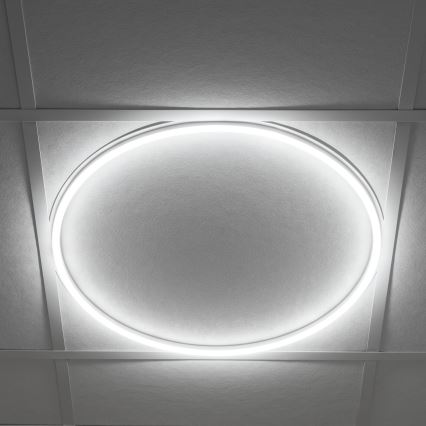LED Podhľadový rám AVAR LED/40W/230V 4000K pr. 59 cm
