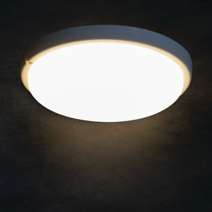 LED Kúpeľňové stropné svietidlo TOLU LED/18W/230V 4000K IP54 biela