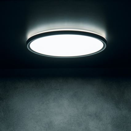 LED stropné svietidlo AZPO LED/11,8W/230V 3000/4000/6000K pr. 22,5 cm IP54 čierne