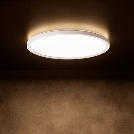 LED Stropné svietidlo AZPO LED/18,5W/230V 3000/4000/6000K pr. 29 cm IP54 biela