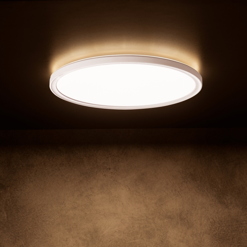 LED stropné svietidlo AZPO LED/22W/230V 3000/4000/6000K pr. 42 cm IP54 biele