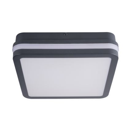 LED Vonkajšie svietidlo BENO LED/24W/230V 4000K antracit IP54