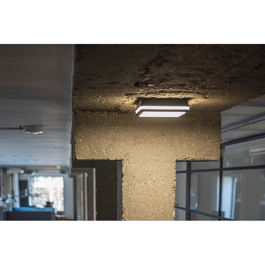 LED Vonkajšie svietidlo so senzorom BENO LED/24W/230V 4000K antracit IP54