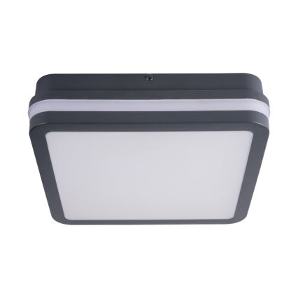 LED Vonkajšie svietidlo BENO LED/18W/230V 4000K antracit IP54