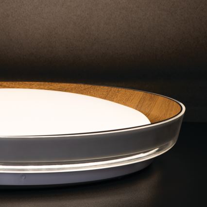 LED Stropné svietidlo NIFU LED/17,8W/230V pr. 43 cm biela/hnedá