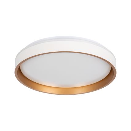 LED Stropné svietidlo SOLN LED/17,5W/230V pr. 38 cm biela/zlatá