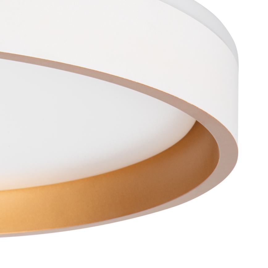 LED Stropné svietidlo SOLN LED/17,5W/230V pr. 38 cm biela/zlatá