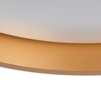 LED Stropné svietidlo SOLN LED/17,5W/230V pr. 38 cm biela/zlatá