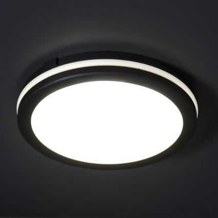 LED Vonkajšie stropné svietidlo BENO ECO LED/12W/230V 3000/4000/6500K pr. 20 cm IP65 čierna
