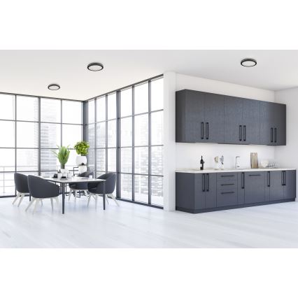 LED Vonkajšie stropné svietidlo BENO E LED/20W/230V 3000/4000/6500K pr. 20 cm IP65 čierna