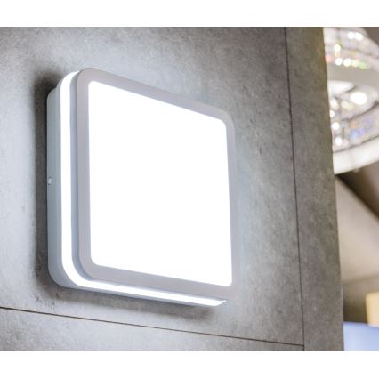 LED Vonkajšie stropné svietidlo BENO LED/12/18W/230V 3000/3500/4000K IP65 biela hranatý