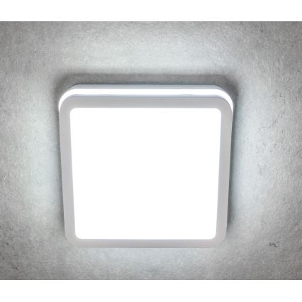 LED Vonkajšie stropné svietidlo BENO LED/12/18W/230V 3000/3500/4000K IP65 biela hranatý