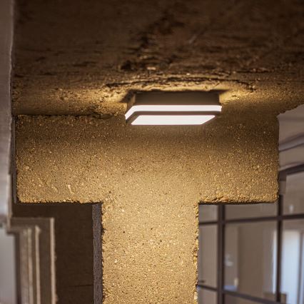 LED Vonkajšie stropné svietidlo so senzorom pohybu BENO LED/12/18W/230V 3000/3500/4000K IP65 antracit hranatý