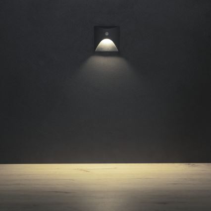 LED schodiskové svietidlo so snímačom pohybu a súmraku EXIN LED/2,5W/230V 4000K IP65 antracitové hranaté