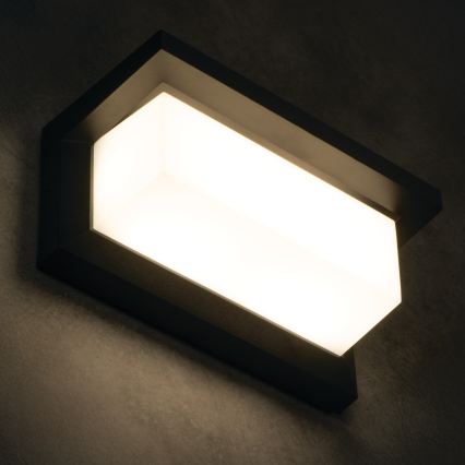 LED vonkajšie nástenné svietidlo LERTO LED/12W/230V IP54 čierne